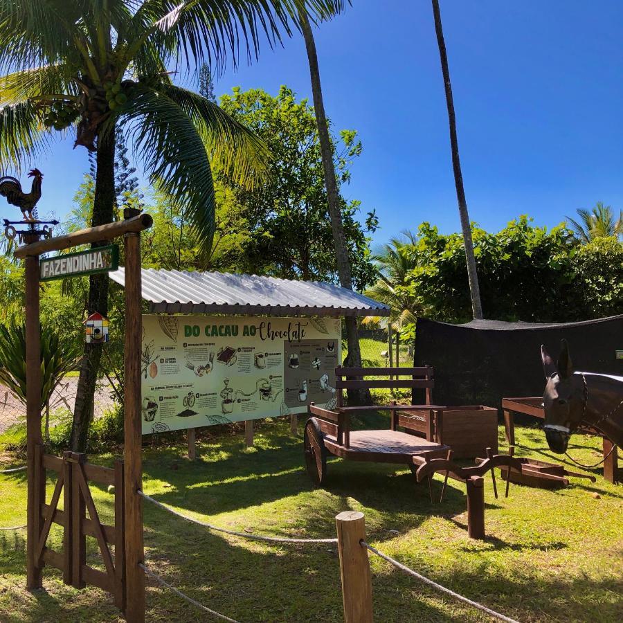 Jardim Atlantico Beach Resort Ilhéus Kültér fotó